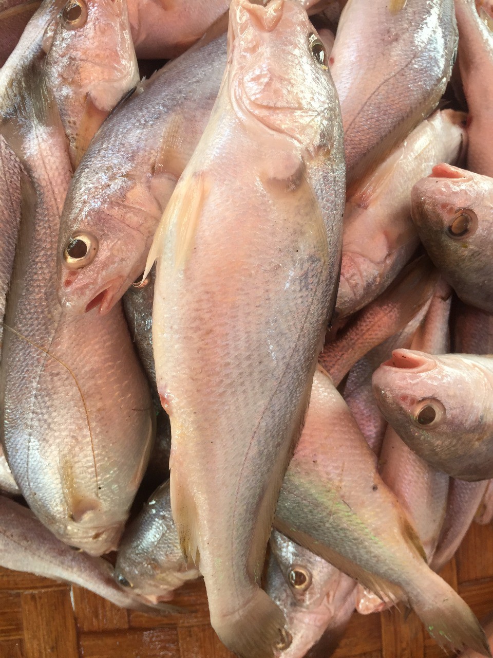 পোয়া