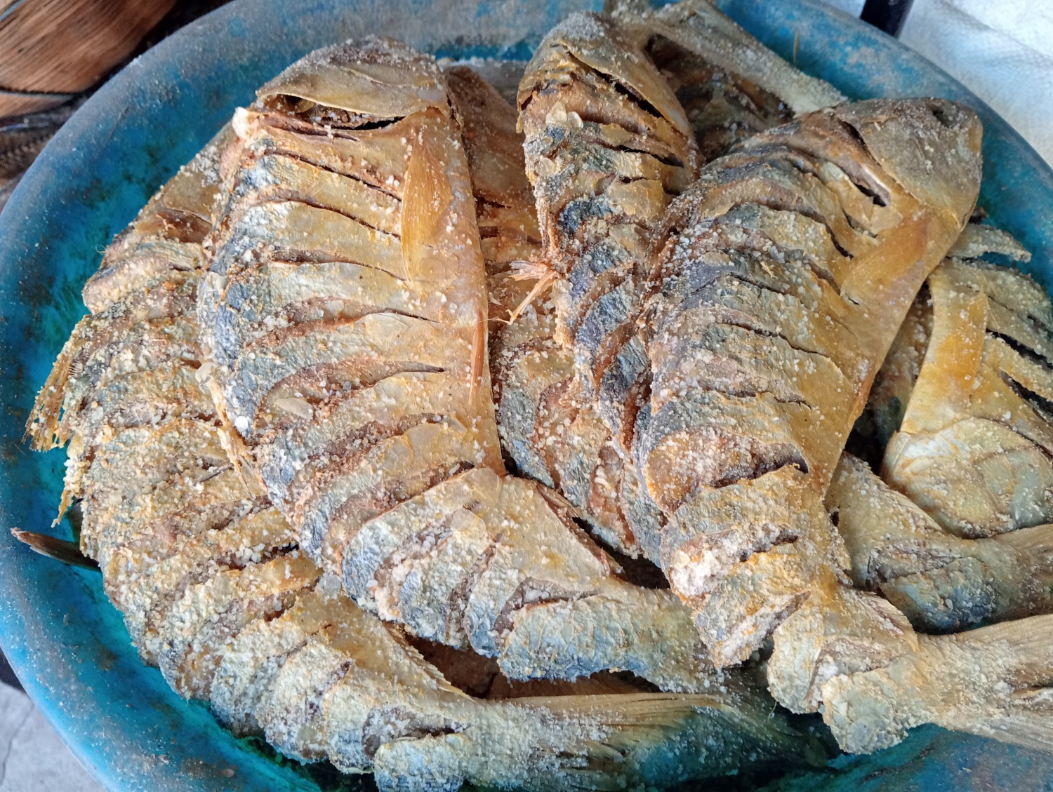 নুনা ইলিশ