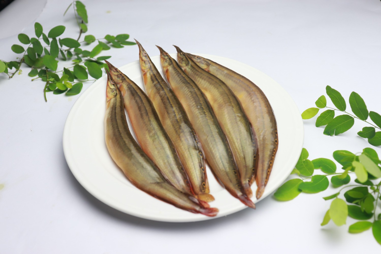 তারা বাইম