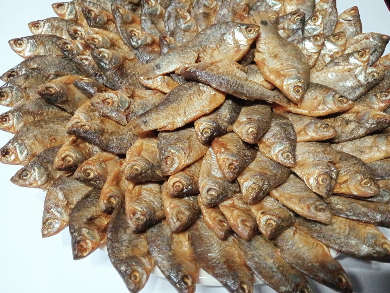 পুটির চ্যাপা