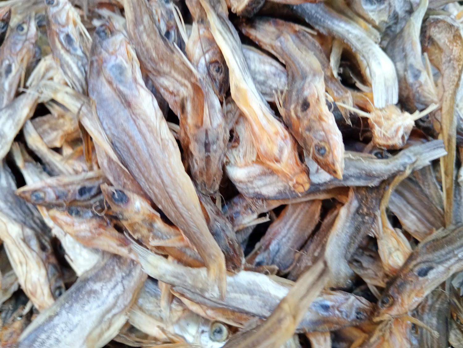 টেংরার শুটকি