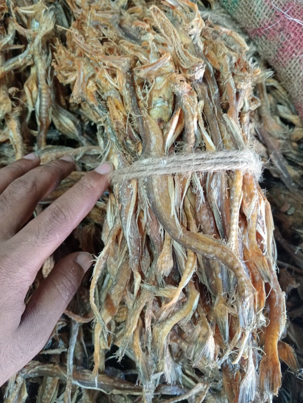 লইট্রার শুটকি