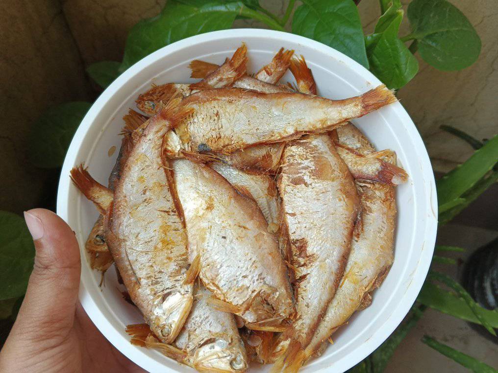 বাশপাতা চ্যাপা